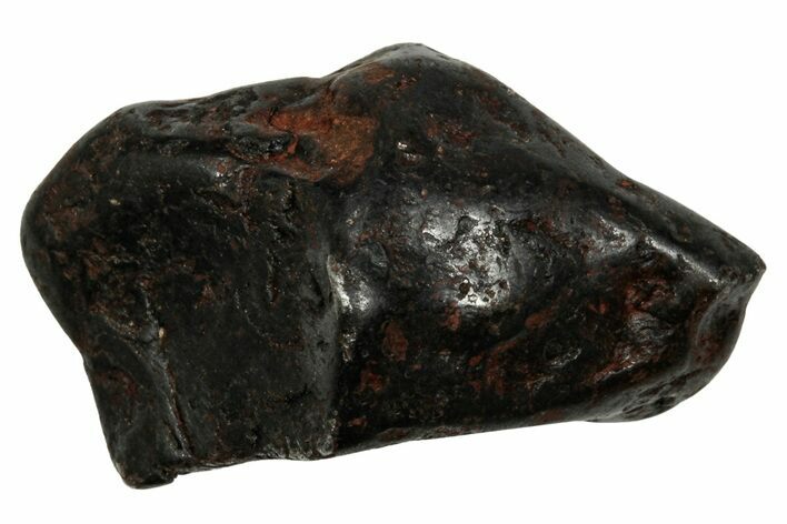 Canyon Diablo Iron Meteorite ( g) - Arizona #336000
